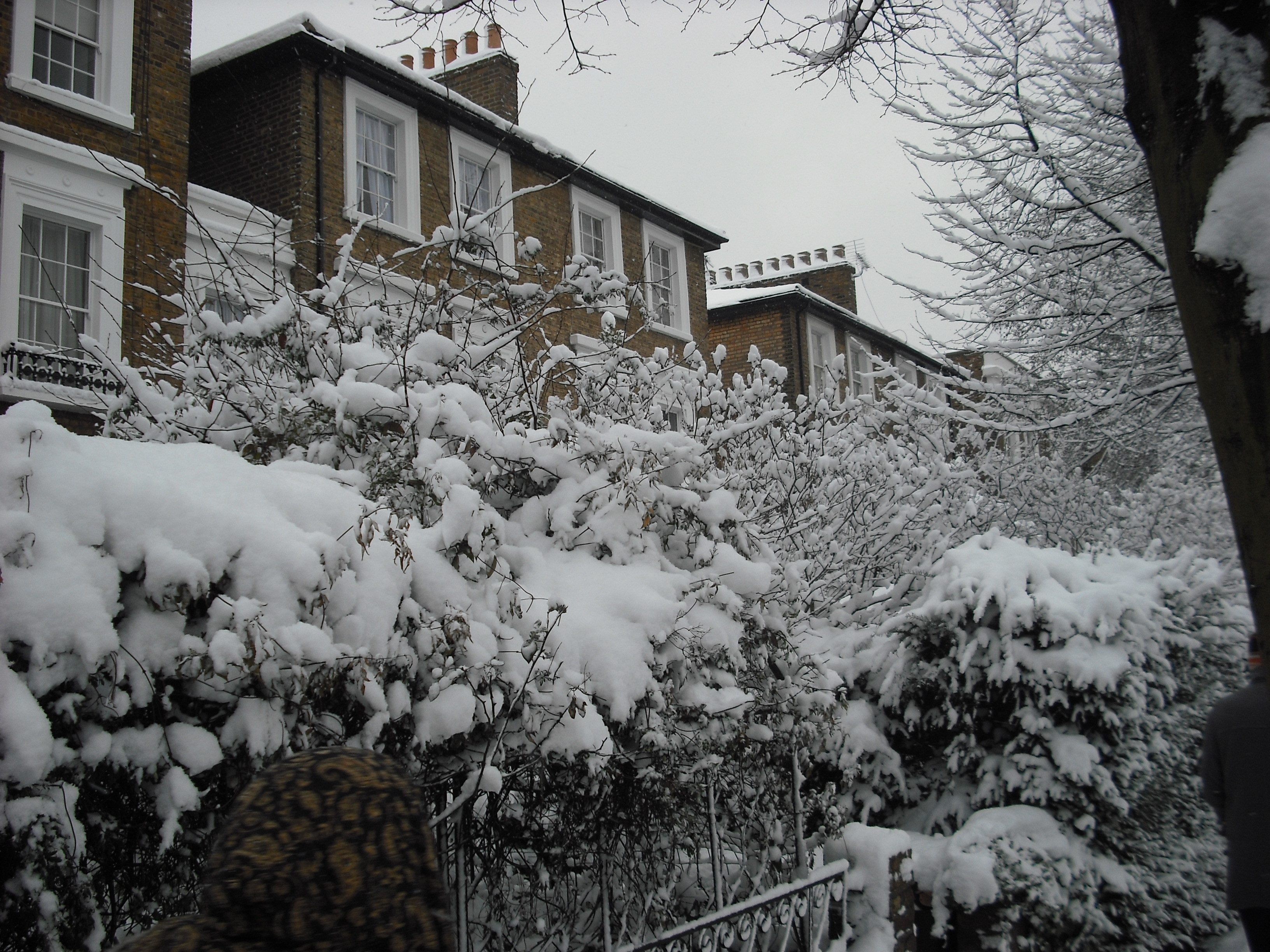 London in the Snow