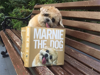 Marnie the dog book 2025