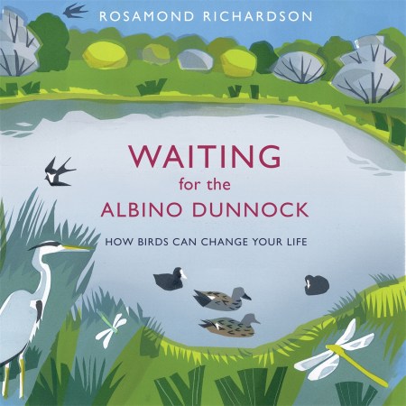 Waiting for the Albino Dunnock