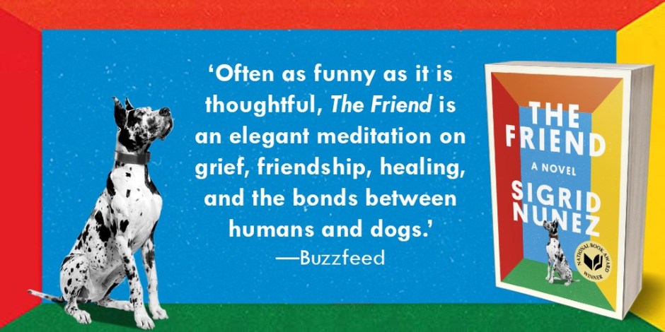 'Often as funny as it is thoughtful' - buzzfeed