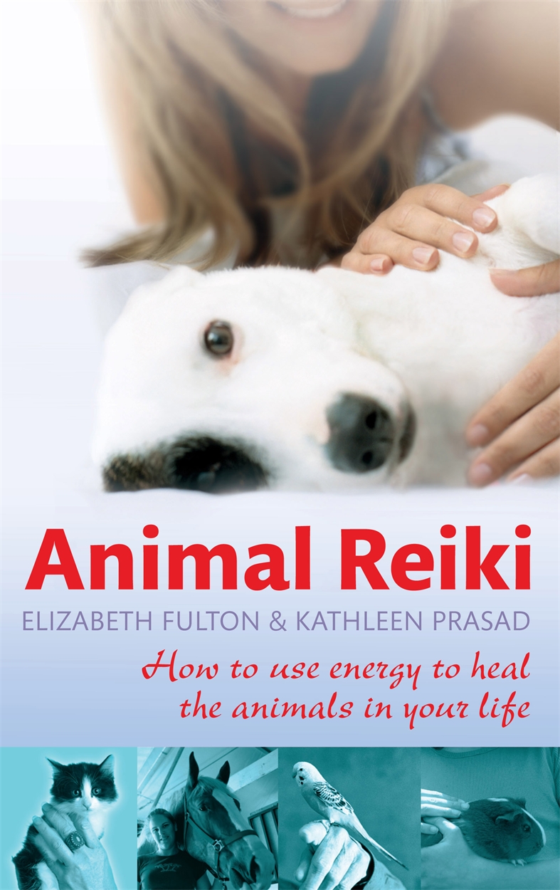Animal Reiki by Elizabeth Fulton | Hachette UK