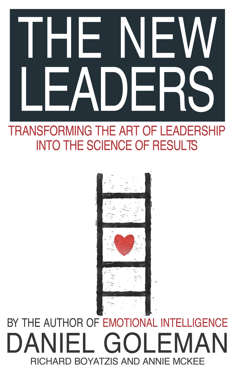 The New Leaders by Daniel Goleman Hachette UK