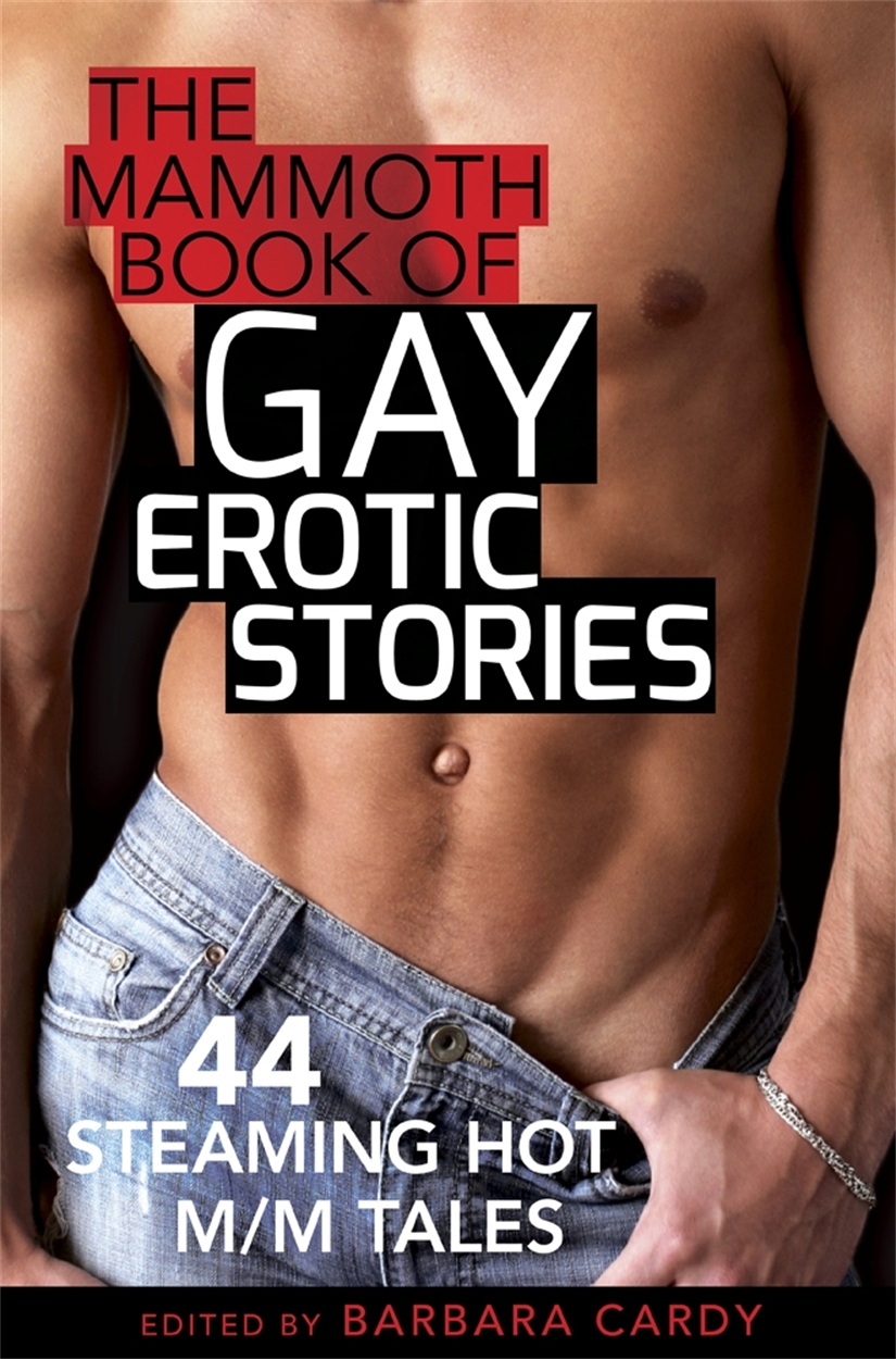 The Mammoth Book of Gay Erotic Stories by Barbara Cardy Hachette UK photo