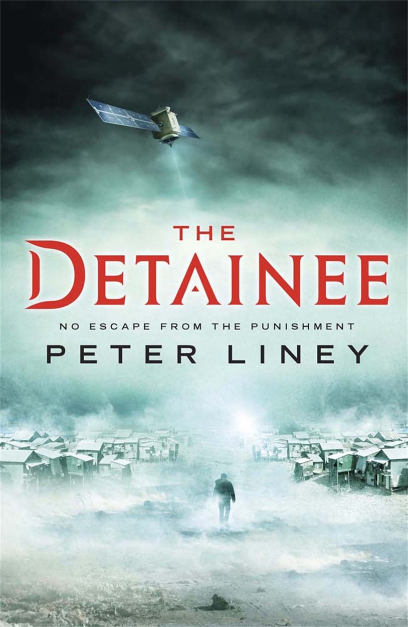 The Detainee by Peter Liney Hachette UK
