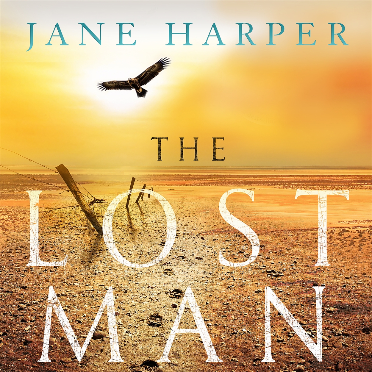 book review the lost man book review the lost man