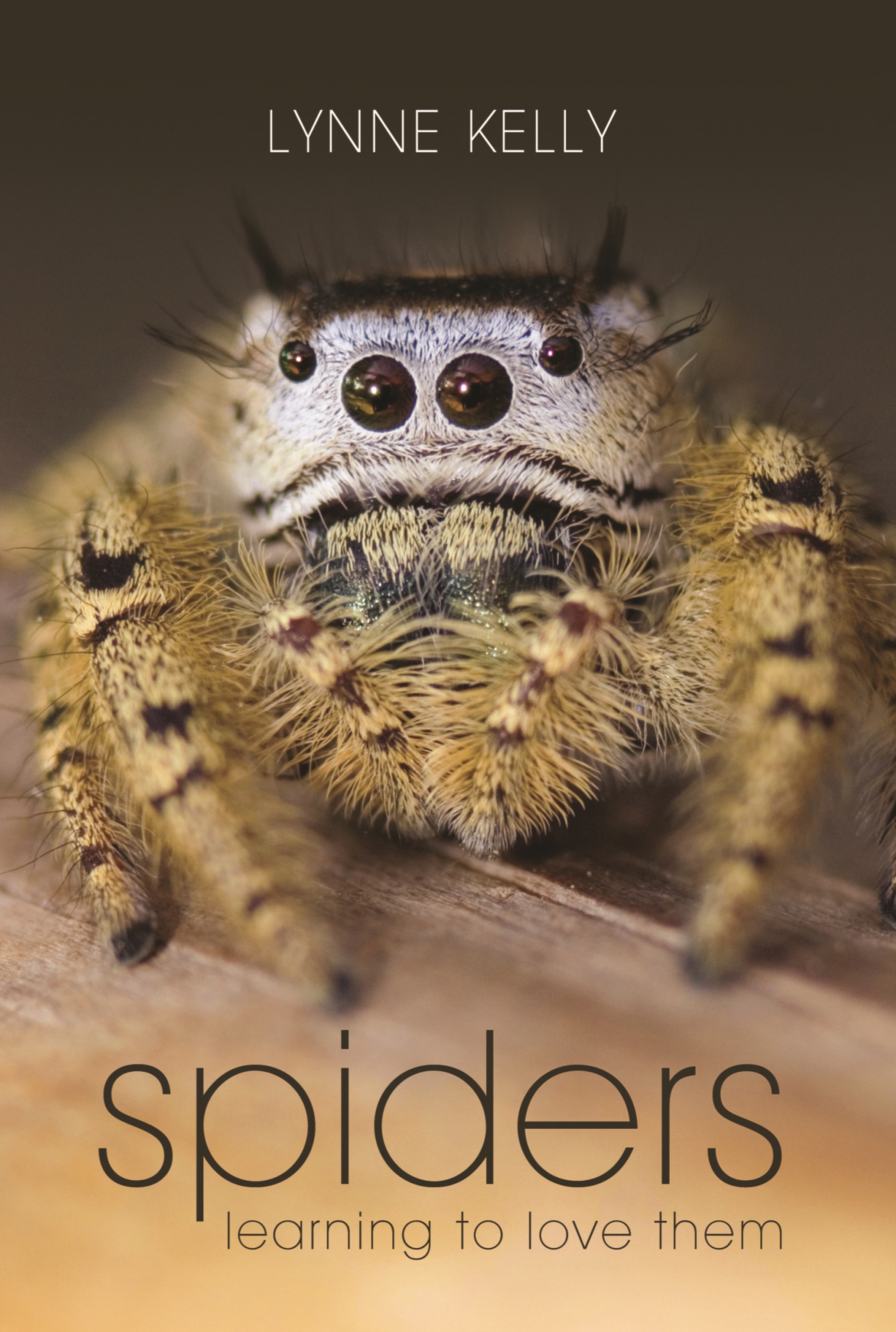 語学・辞書・学習参考書 Behaviour and Ecology of Spiders Spiders by Lynne Kelly | Hachette UK