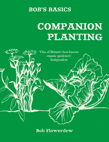 Bob’s Basics: Companion Planting
