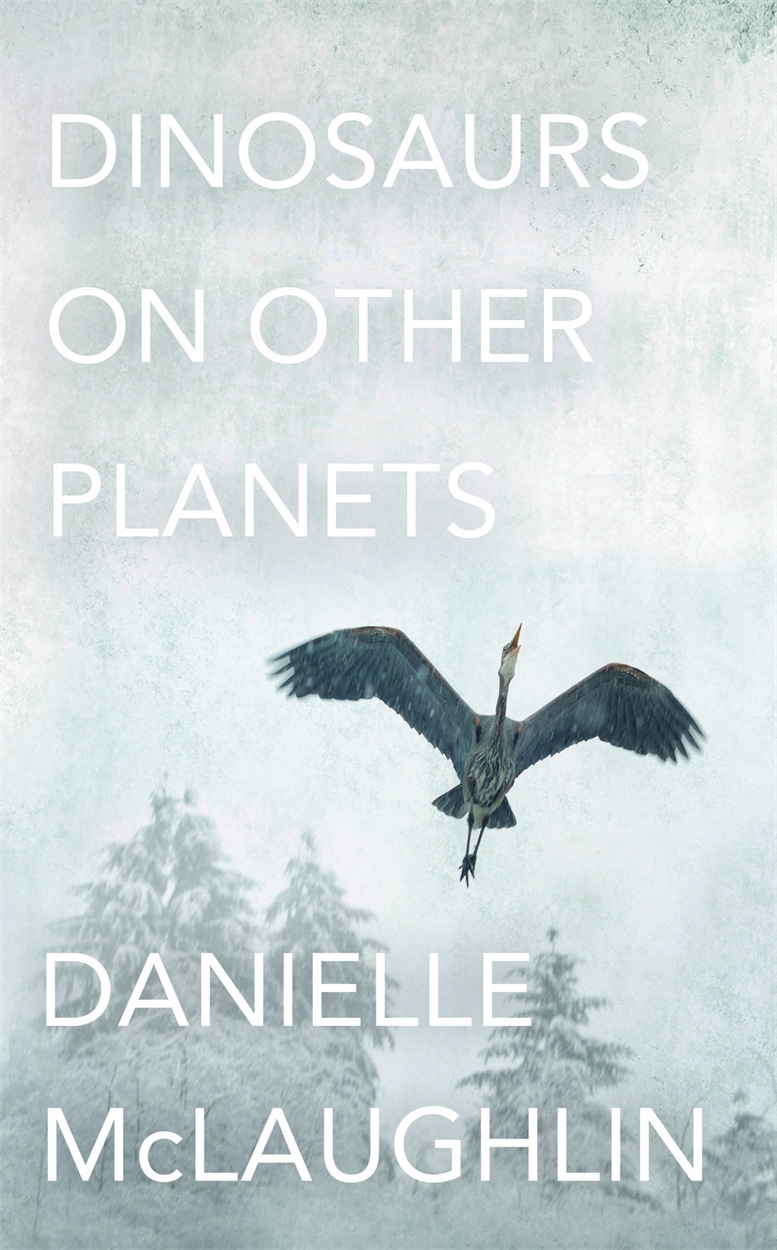 danielle mclaughlin dinosaurs on other planets