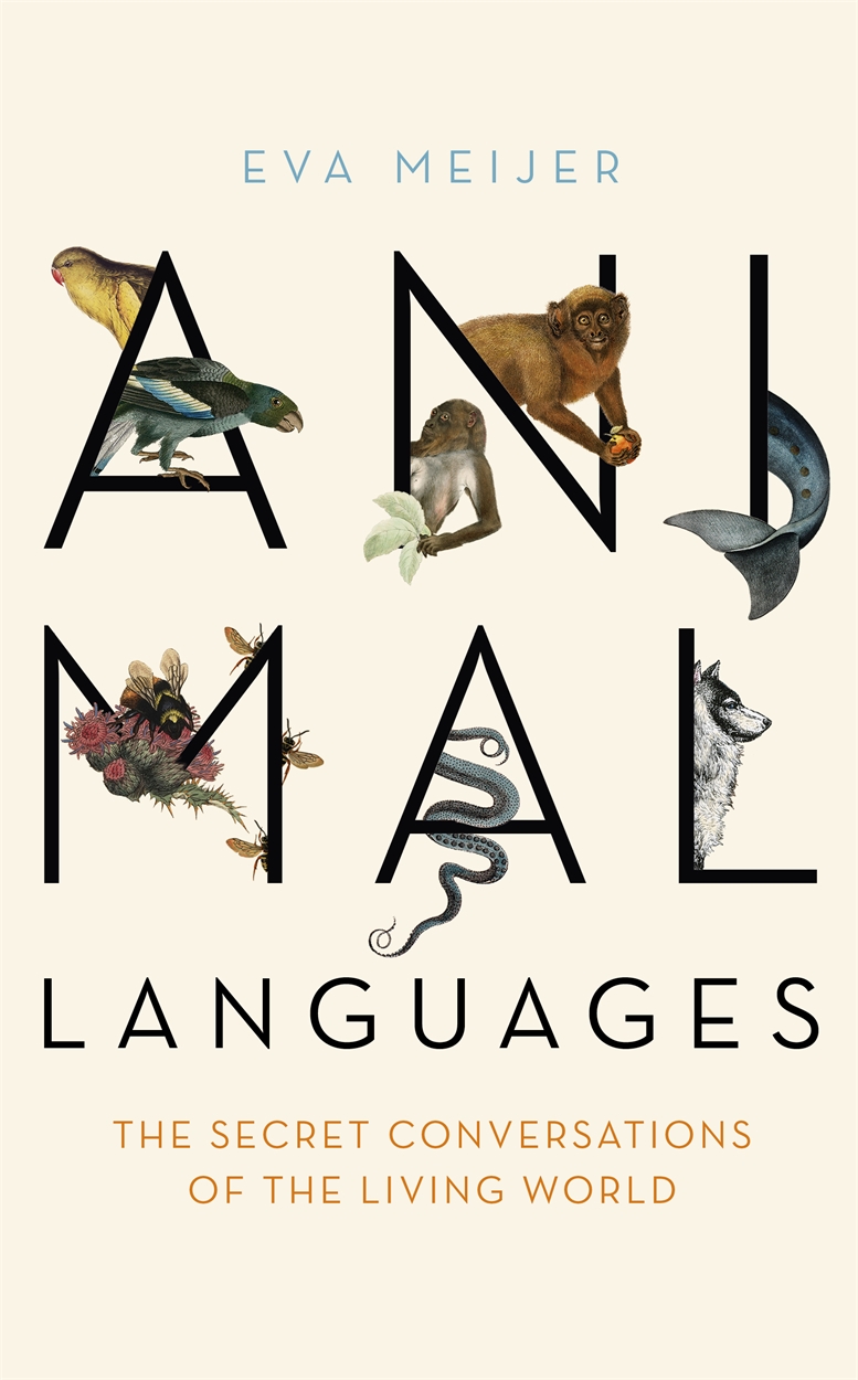 Animal Languages by Eva Meijer | Hachette UK
