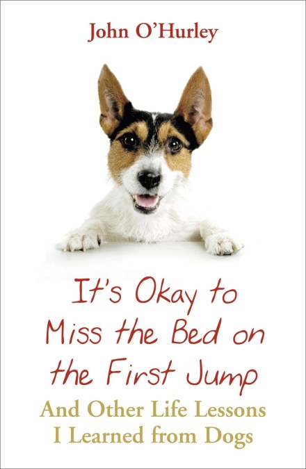 It’s OK to Miss the Bed on the First Jump