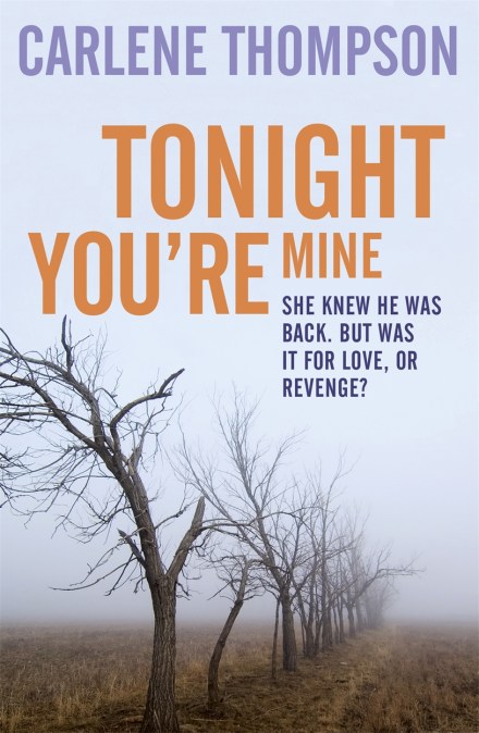 Tonight You’re Mine