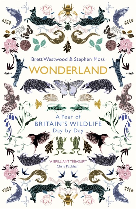 Wonderland