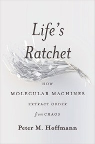 Life’s Ratchet