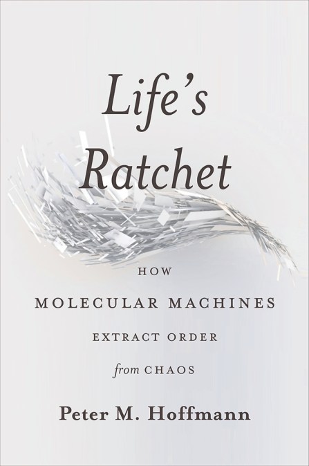 Life’s Ratchet