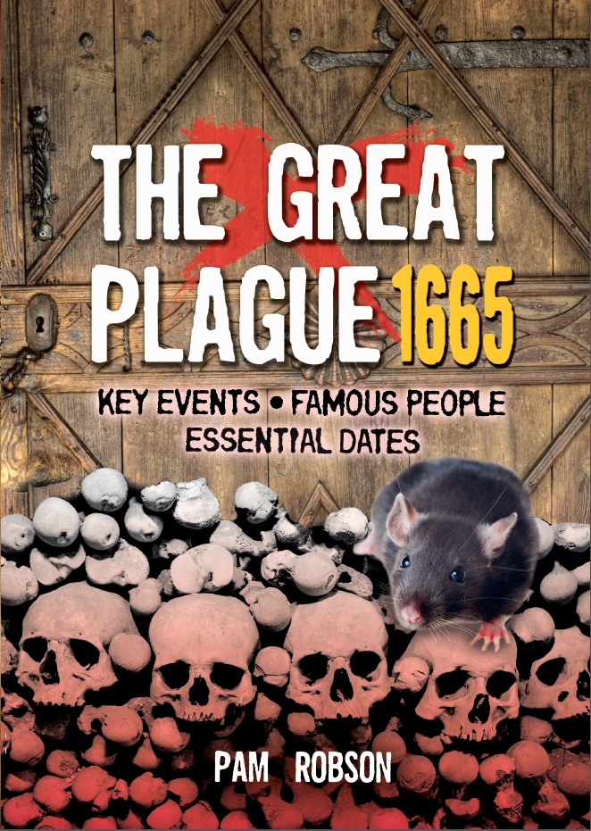 All About: The Great Plague 1665 by Pam Robson | Hachette UK