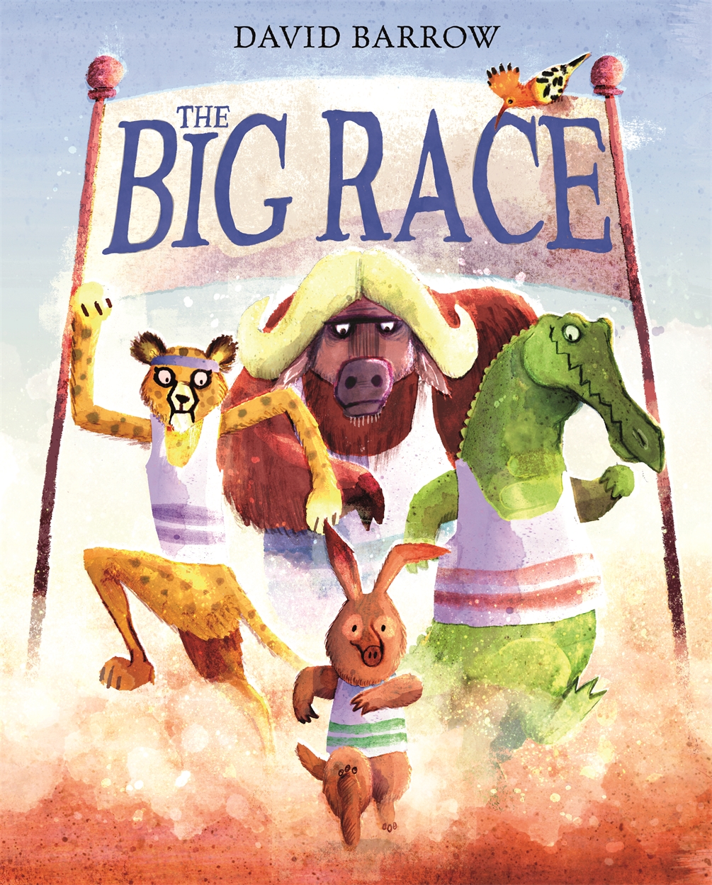 The Big Race by David Barrow | Hachette UK