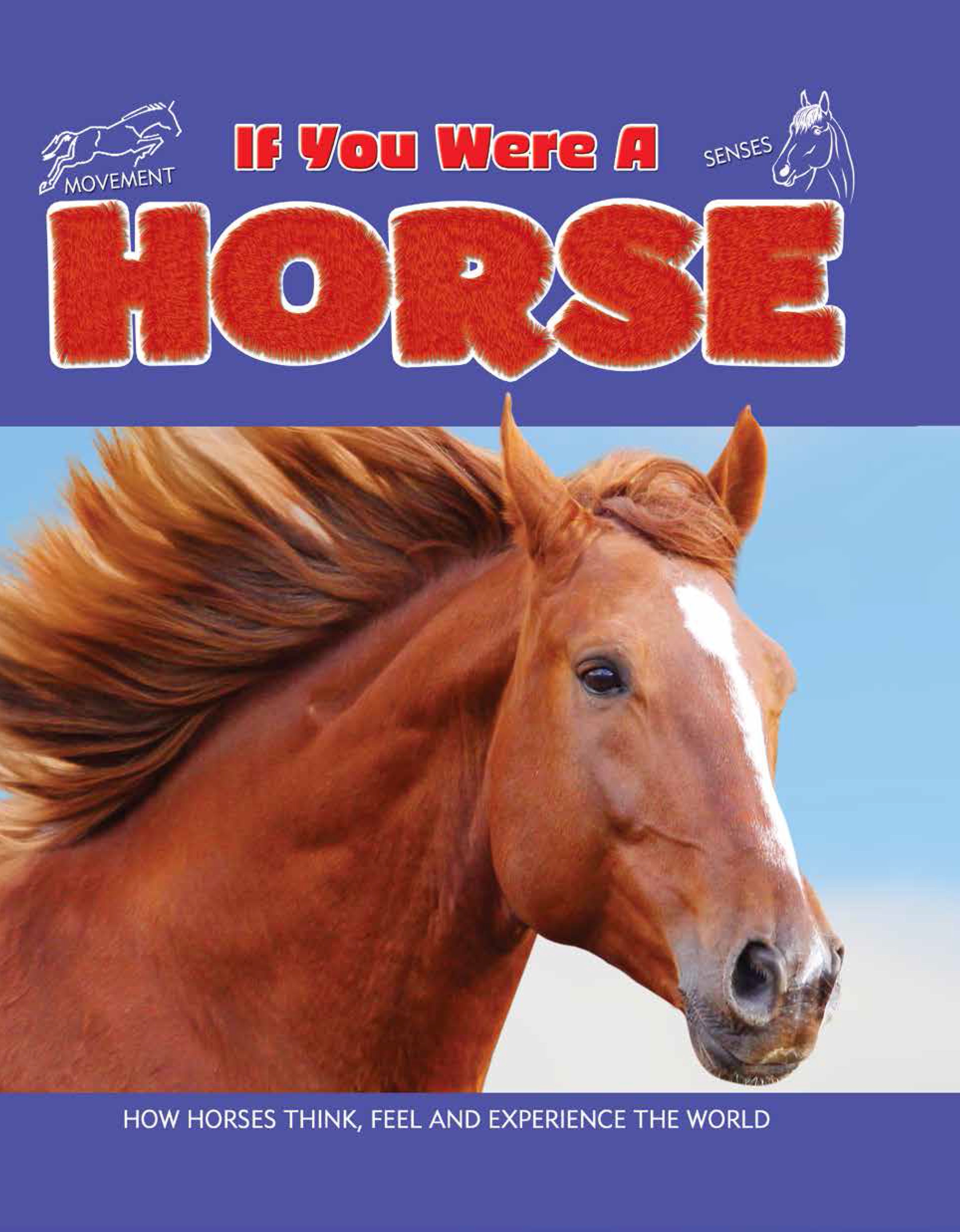 If You Were a Horse by Clare Hibbert Hachette UK