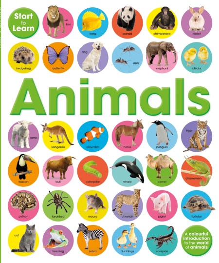 Start To Learn: Animals by Toby Reynolds | Hachette UK