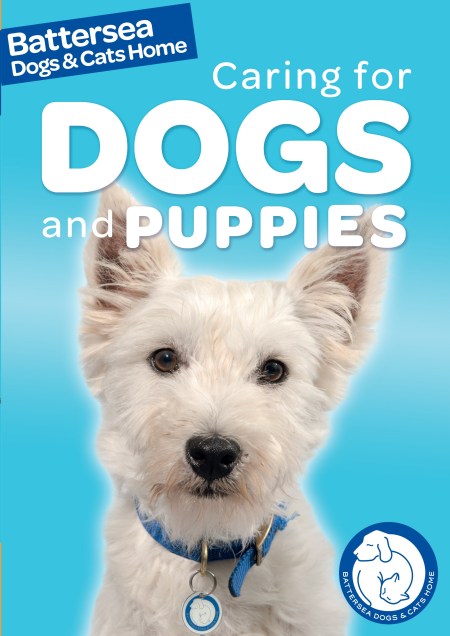 Battersea Dogs & Cats Home: Pet Care Guides: Caring for Dogs and Puppies by  Ben Hubbard | Hachette UK