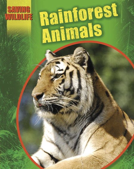 Saving Wildlife: Rainforest Animals by Sonya Newland | Hachette UK