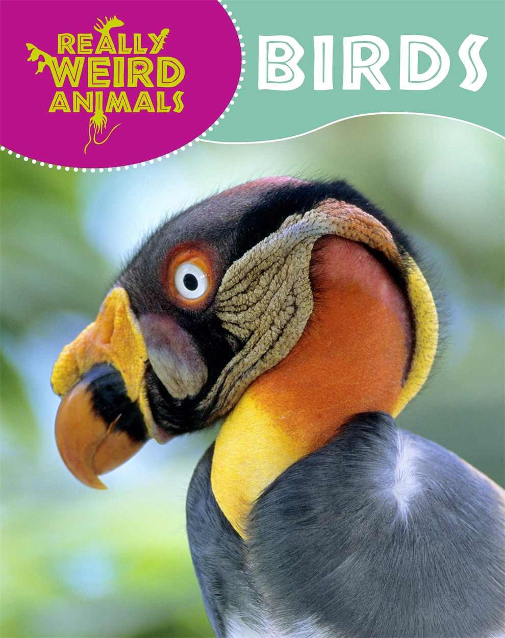 Really Weird Animals: Birds by Clare Hibbert | Hachette UK Really Weird Animals: Birds by Clare Hibbert | Hachette UK