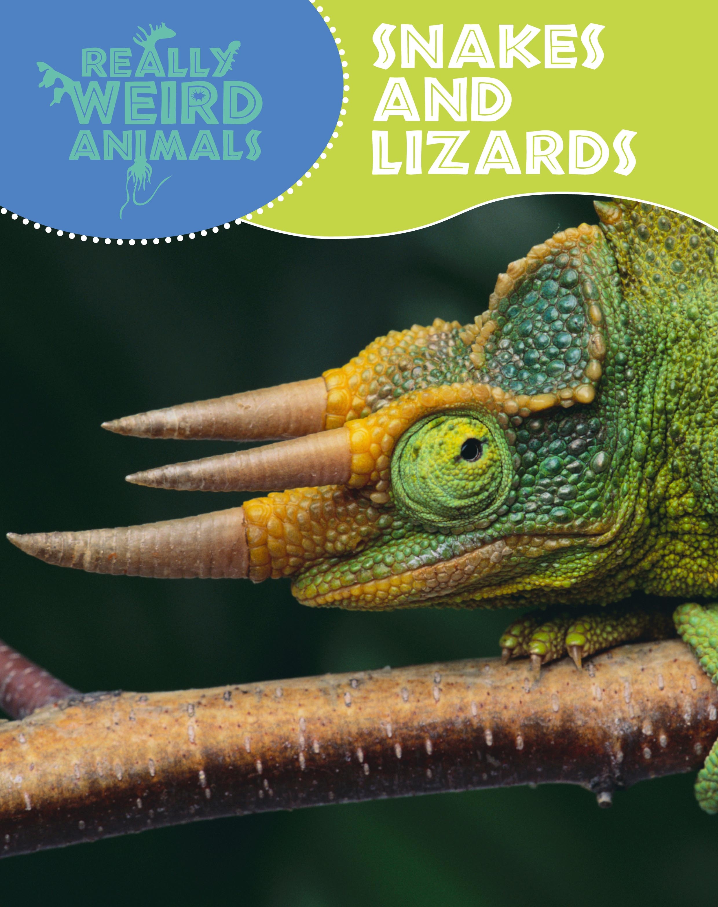 Really Weird Animals: Snakes and Lizards by Clare Hibbert | Hachette UK