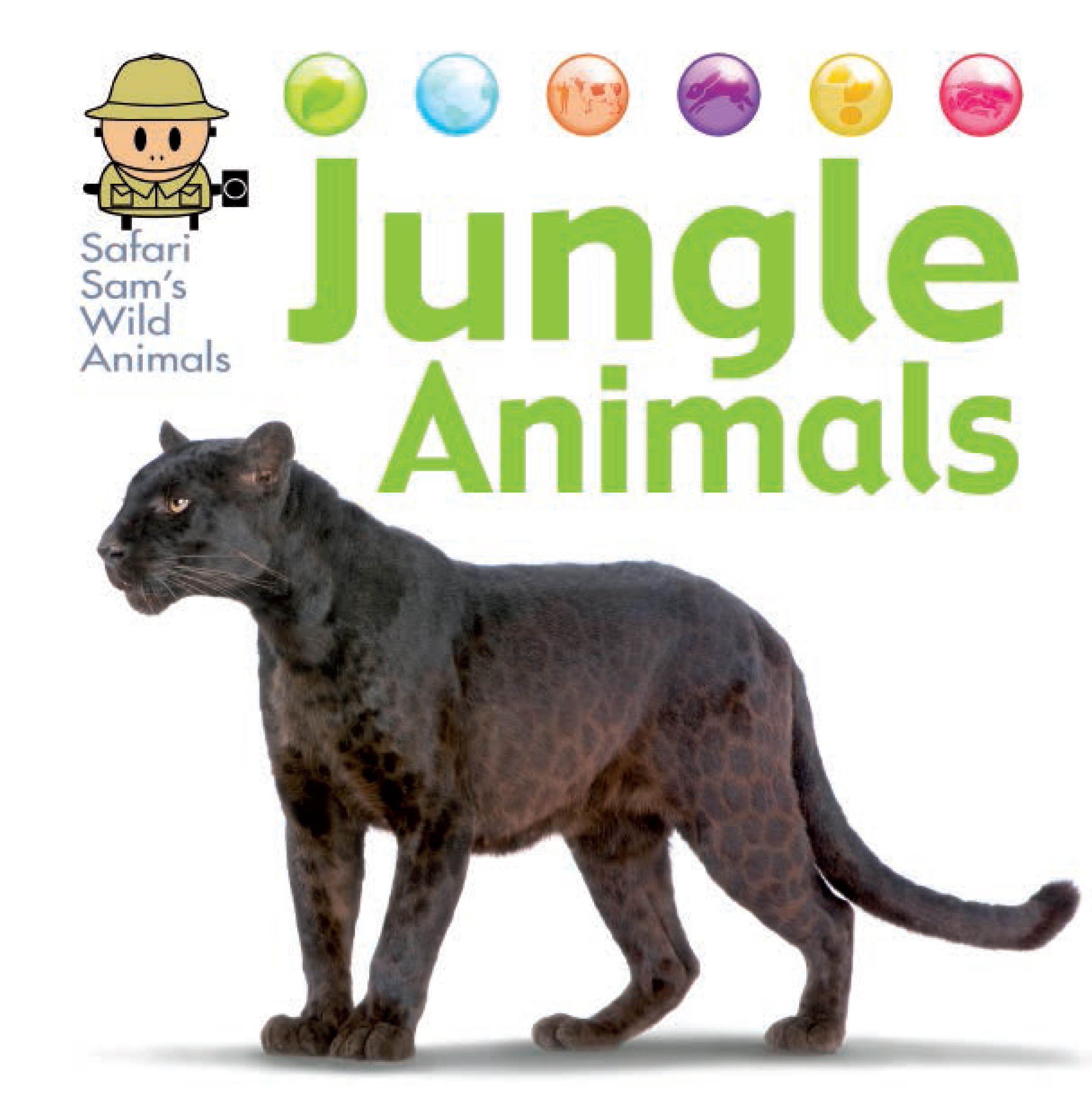 Safari Sam's Wild Animals: Jungle Animals by David West | Hachette UK