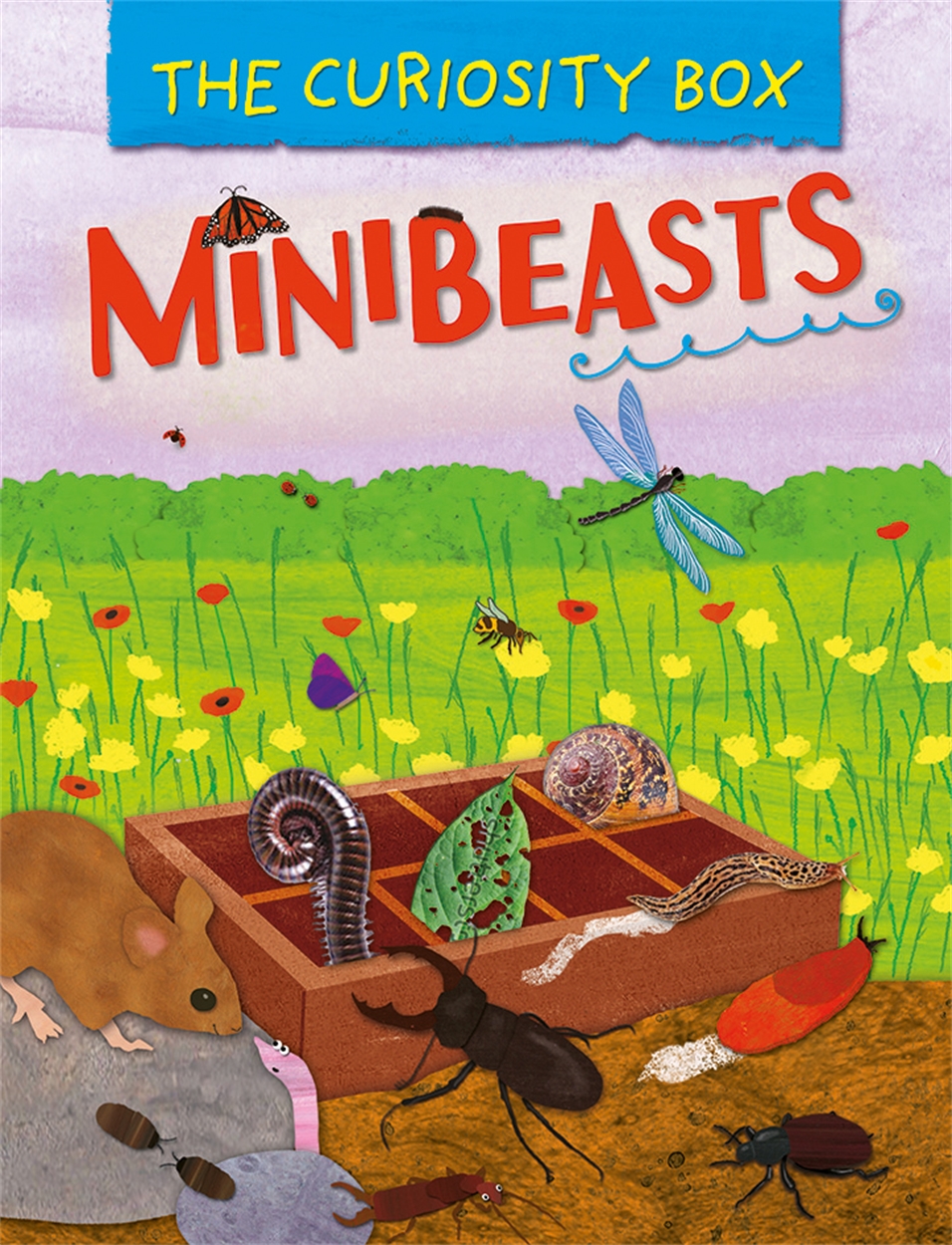 The Curiosity Box: Minibeasts by Peter Riley | Hachette UK