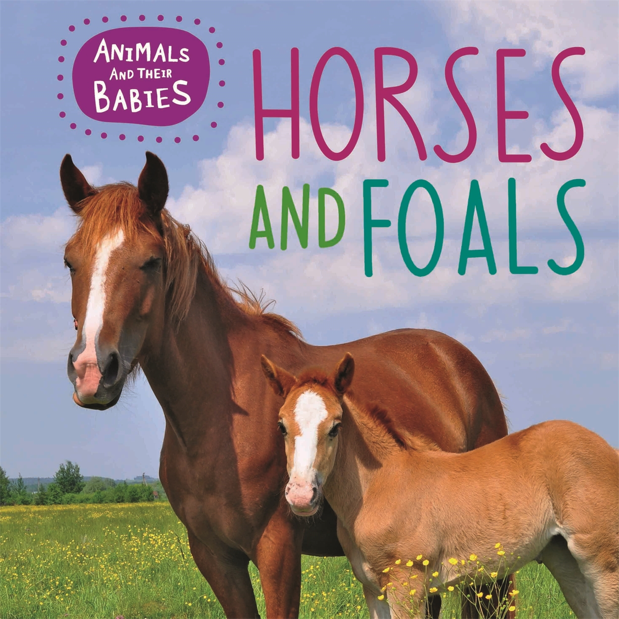 Animals and their Babies: Horses & foals by Annabelle Lynch | Hachette UK