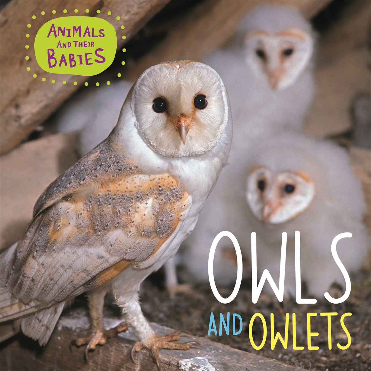 Animals and their Babies: Owls & Owlets by Annabelle Lynch | Hachette UK