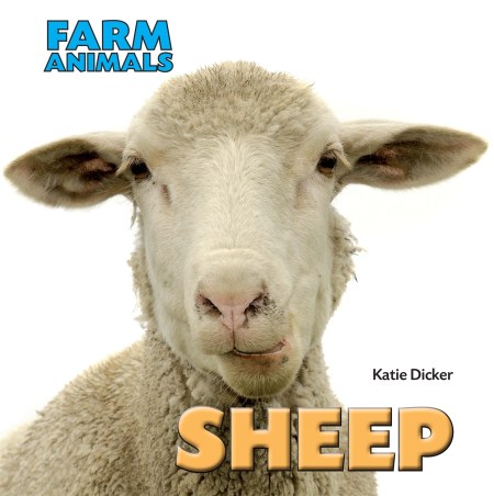 Farm Animals: Sheep by Katie Dicker | Hachette UK
