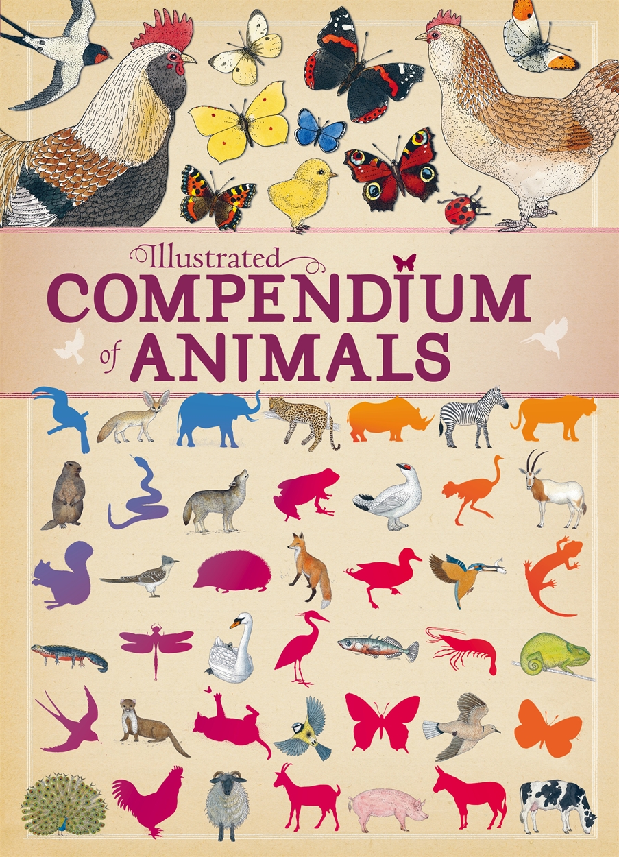 Illustrated Compendium of Animals by Virginie Aladjidi | Hachette UK