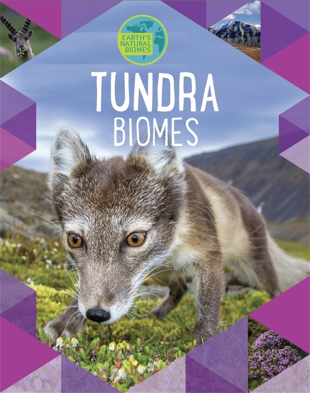 Earth&rsquo;s Natural Biomes: Tundra by Richard Spilsbury | Hachette UK