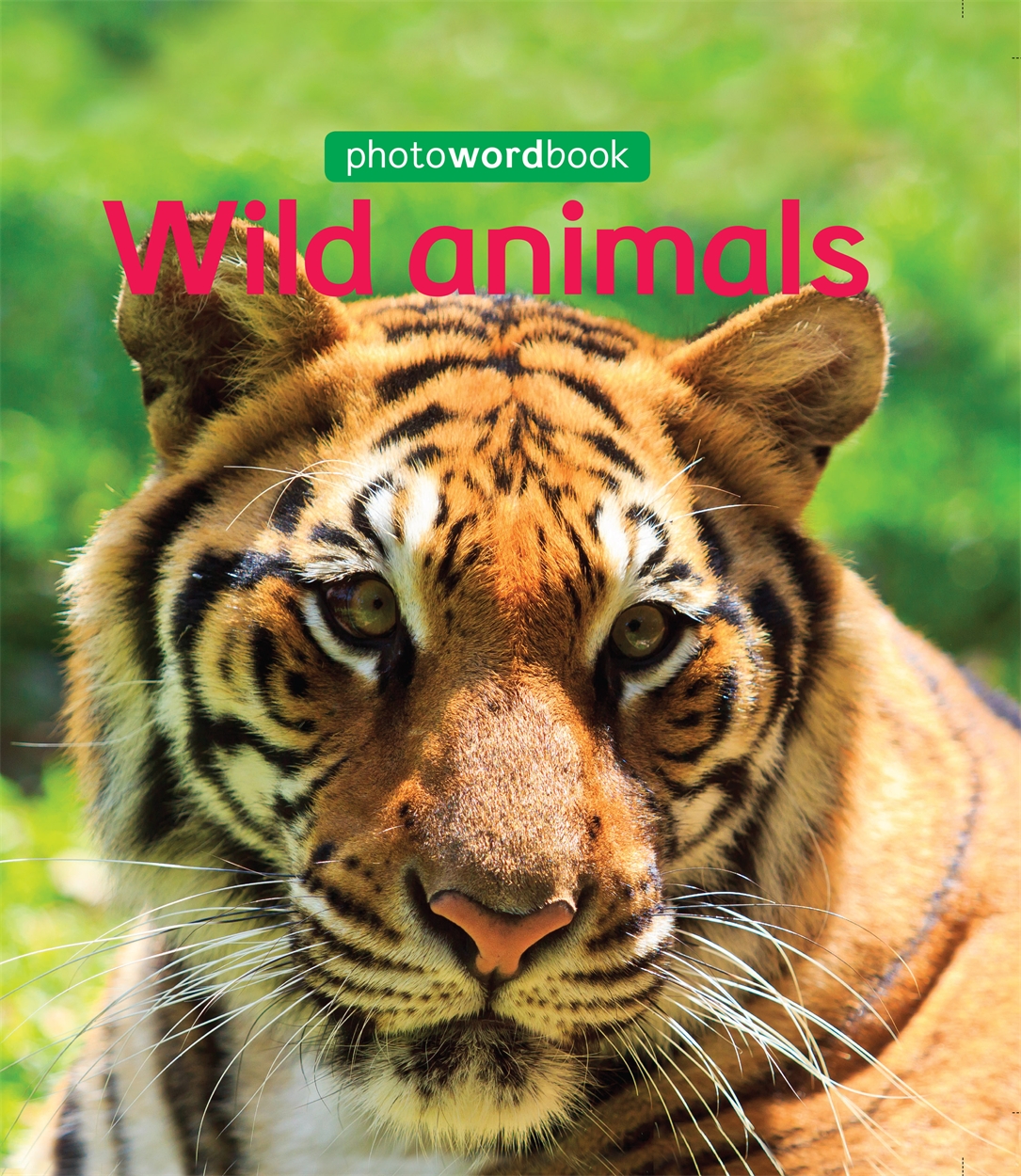 Photo Word Book: Wild Animals by Camilla Lloyd | Hachette UK