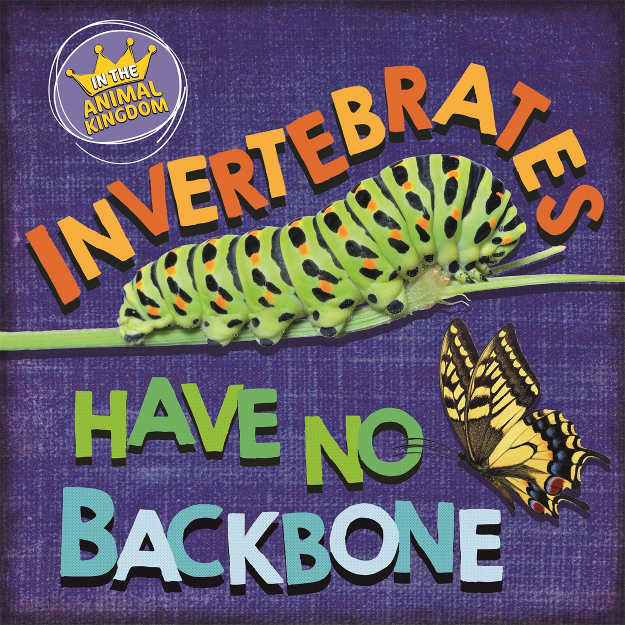 In the Animal Kingdom: Invertebrates Have No Backbone by Sarah Ridley | Hachette UK In the Animal Kingdom: Invertebrates Have No Backbone by Sarah Ridley | Hachette UK
