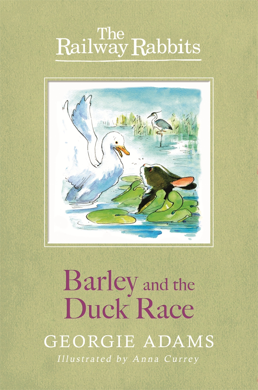 Railway Rabbits: Barley and the Duck Race by Georgie Adams | Hachette UK