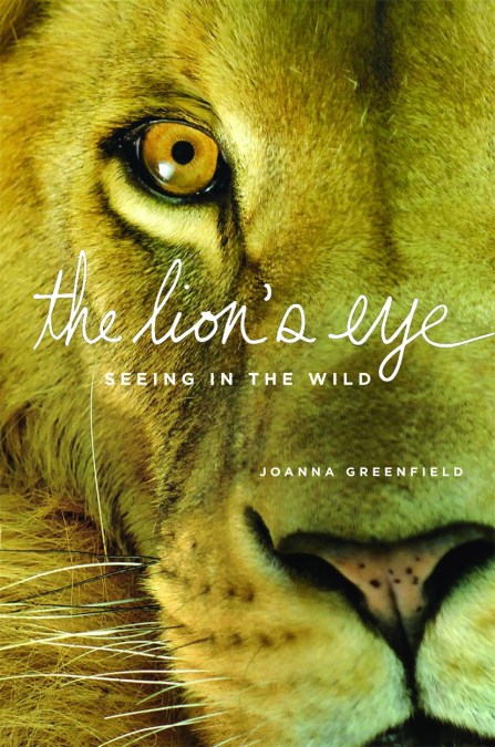 The Lion’s Eye