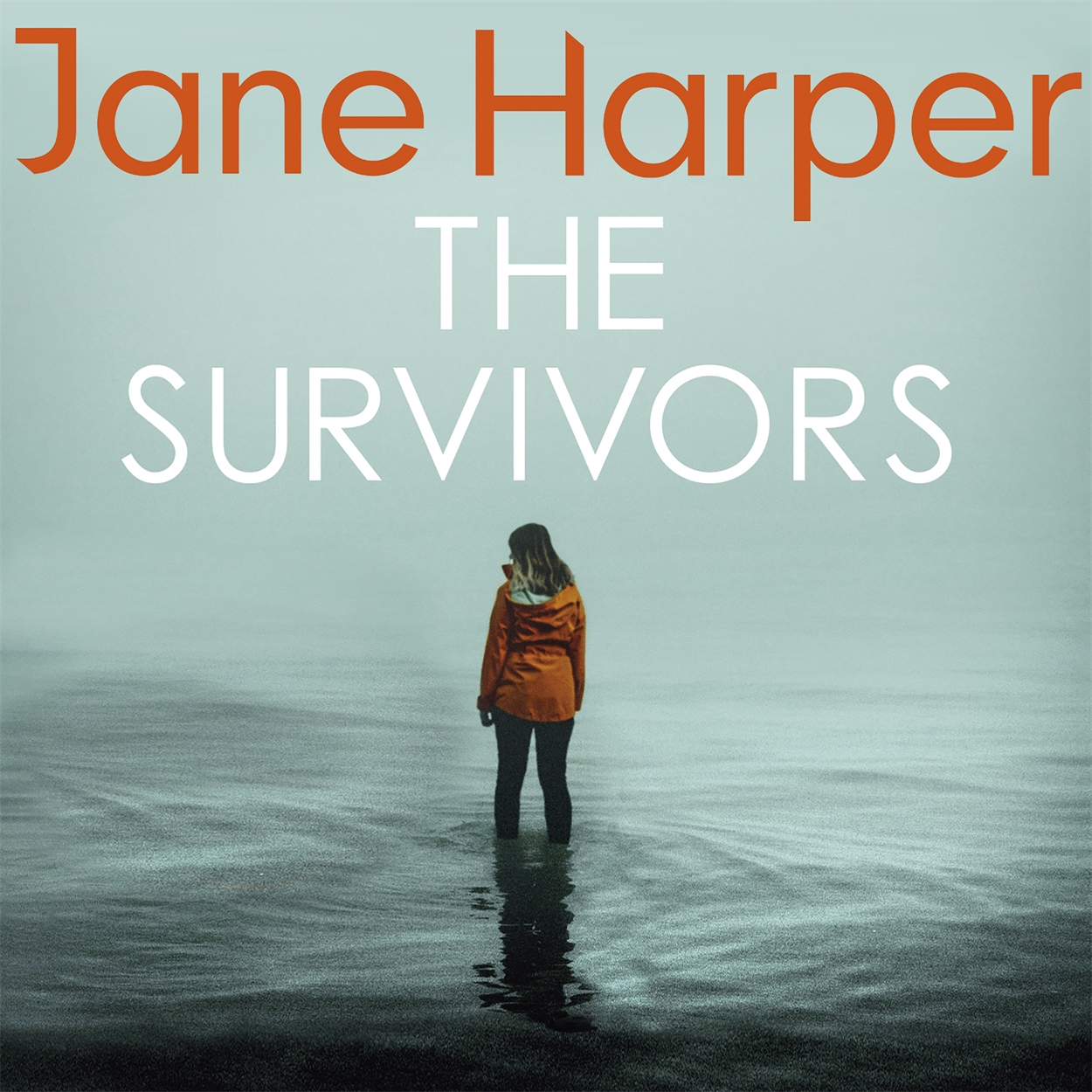 The Survivors by Jane Harper Hachette UK