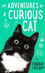 Curious cat cover