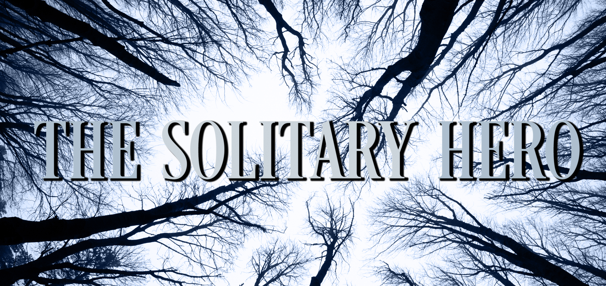 The Solitary Hero by Jon Skovron