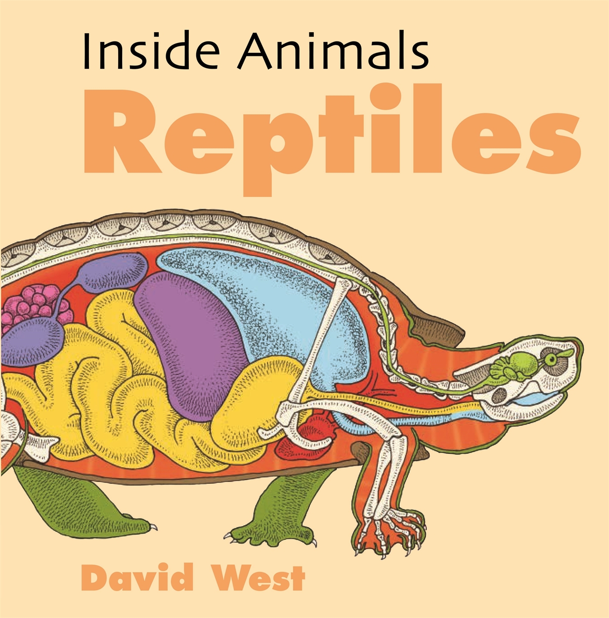 Inside Animals: Reptiles by David West | Hachette UK Inside Animals: Reptiles by David West | Hachette UK