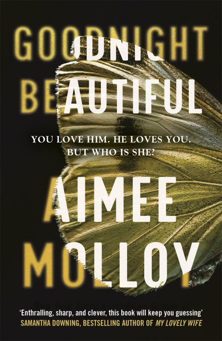 Goodnight Beautiful By Aimee Molloy Hachette Uk Goodnight Beautiful By Aimee Molloy Hachette Uk