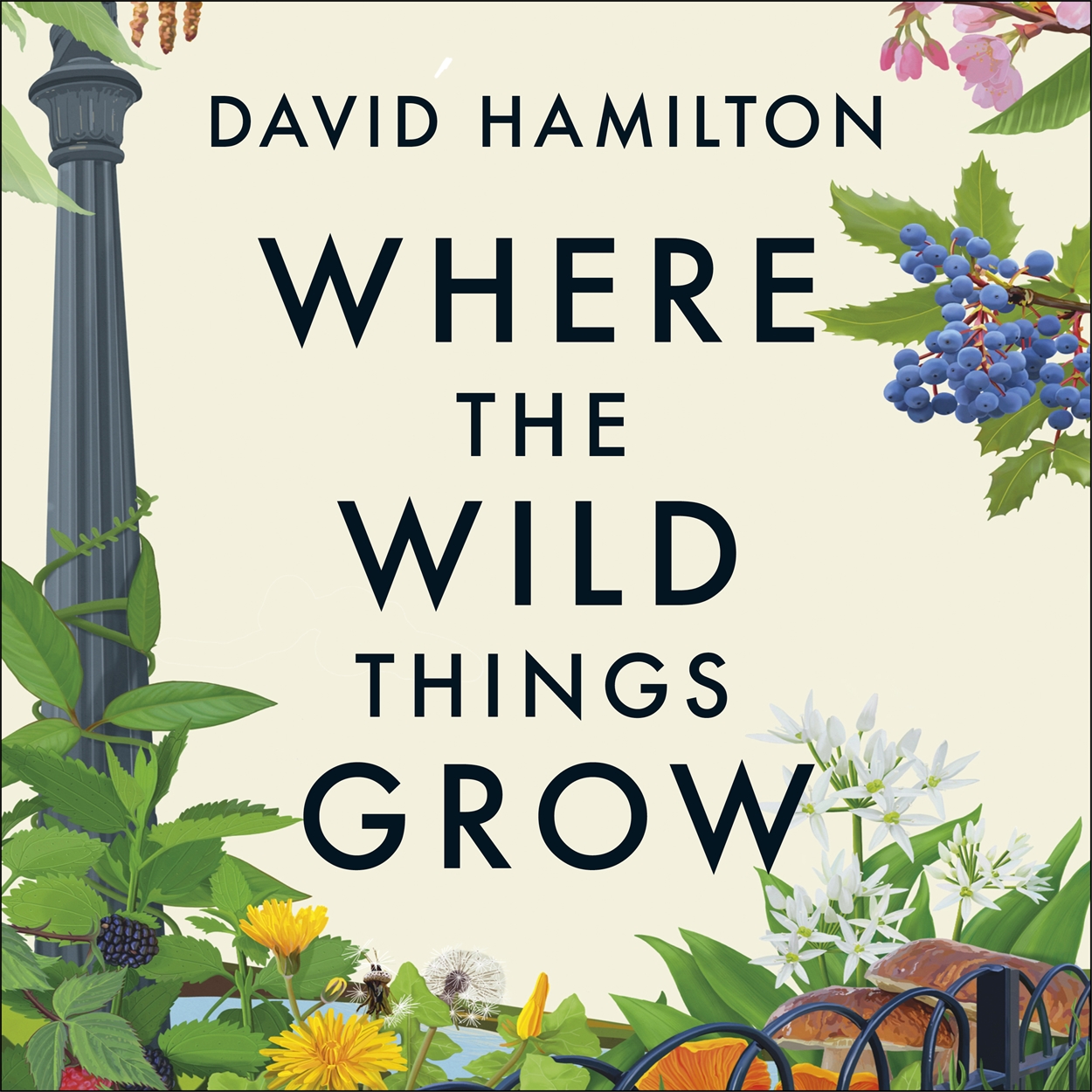 where-the-wild-things-grow-by-david-hamilton-hachette-uk