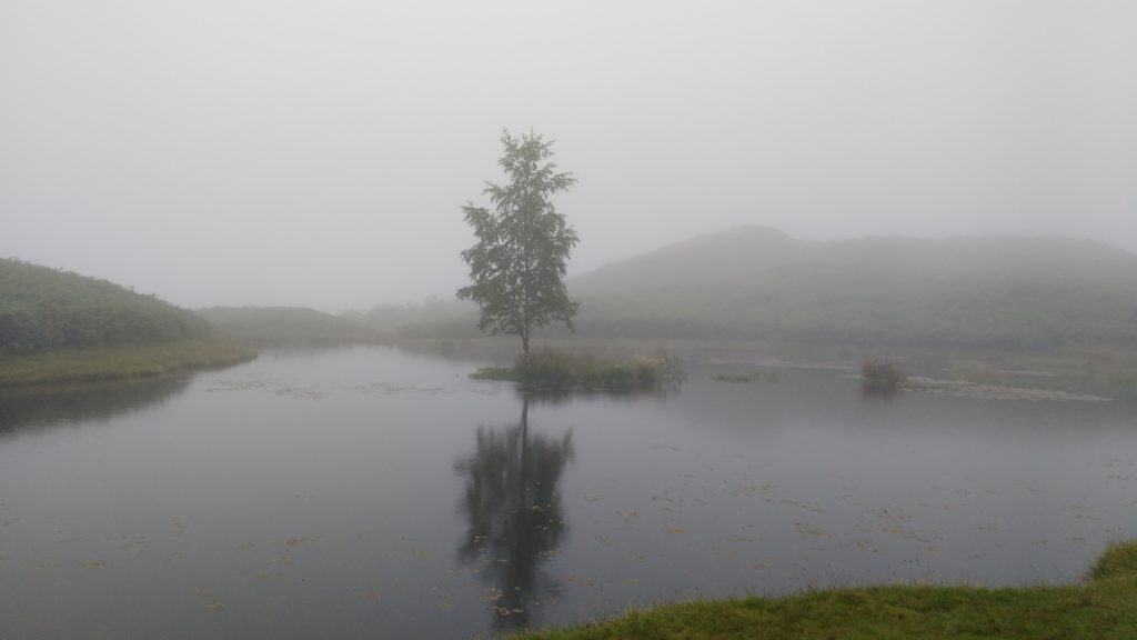 Even the bog had nice bits. Sorta....