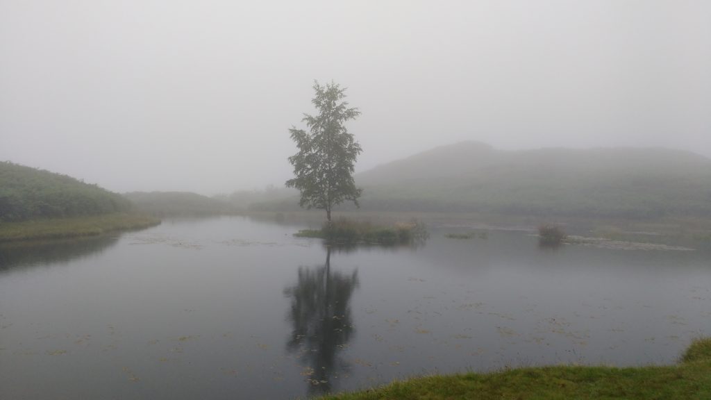 Even the bog had nice bits.  Sorta....