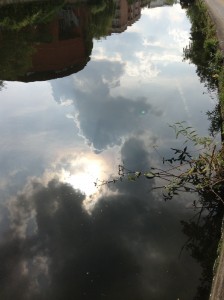 Regents Canal July 2014 (6)