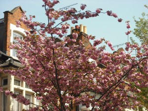 london-spring-005