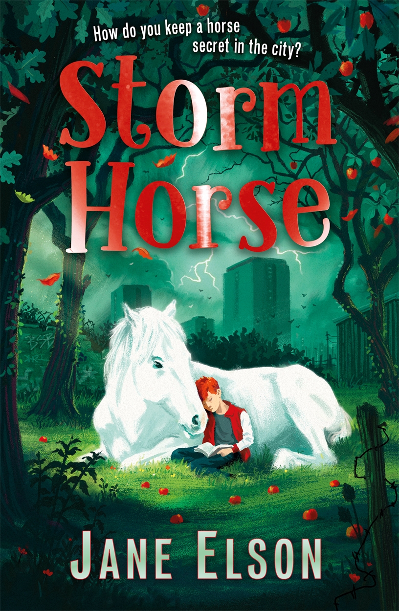 Storm Horse by Jane Elson | Hachette UK