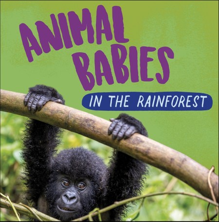 Animal Babies: In the Rainforest by Sarah Ridley | Hachette UK Animal Babies: In the Rainforest by Sarah Ridley | Hachette UK