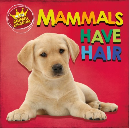 In the Animal Kingdom: Mammals Have Hair by Sarah Ridley | Hachette UK